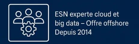 ESN spécialisée web & mobile, forte expertise cloud et big data