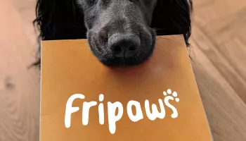 Marketplace Pet-tech