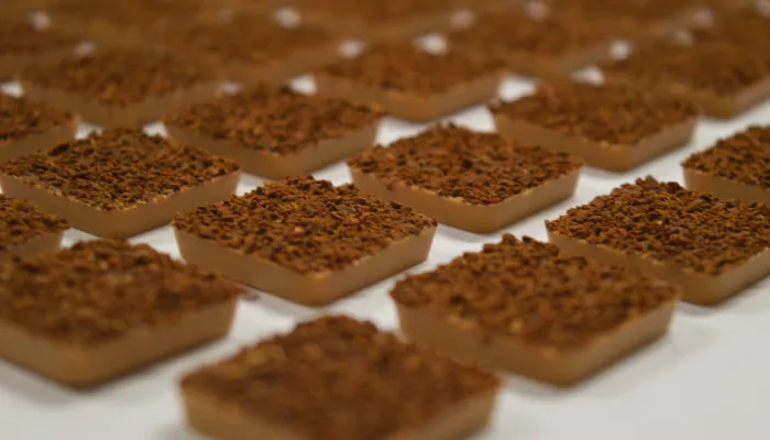 Cession d’un actif complet pour lancement de marque / gamme chocolat