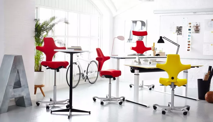 Distributeur spécialisé  en mobilier ergonomique BtoB/BtoC