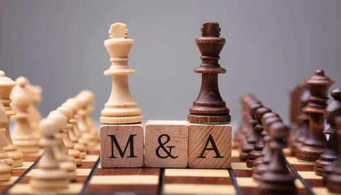 Cession de 30% des parts d'un cabinet de conseil en M&A | Recherche Directeur-Associé