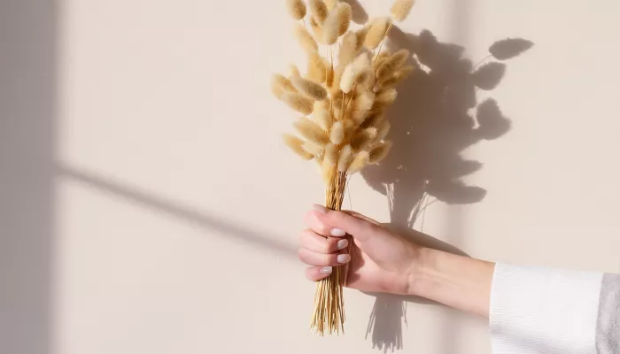 Concept store lifestyle en ligne et en pop-ups