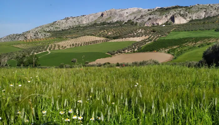 Activité B2B Alimentation + Villa en Espagne