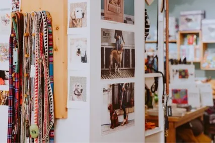 Boutique et site e-commerce chiens/chats – Nantes – CA 475K€ – À reprendre