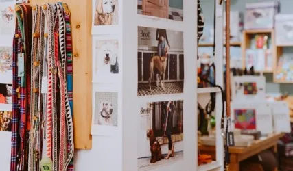 Boutique et site e-commerce chiens/chats – Nantes – CA 475K€ – À reprendre