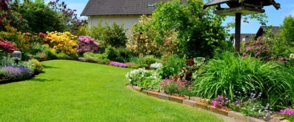 E-commerce Jardinerie en ligne