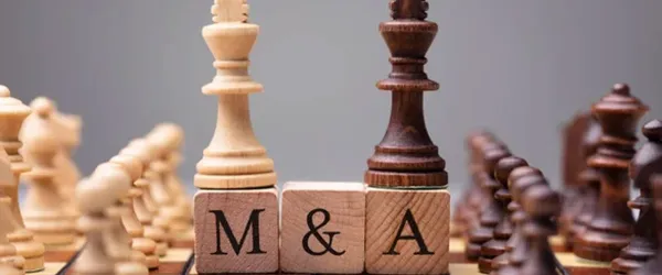 Cession de 30% des parts d'un cabinet de conseil en M&A | Recherche Directeur-Associé